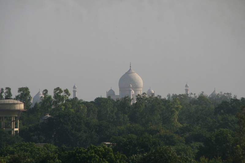 India & Nepal 2011 - 1139